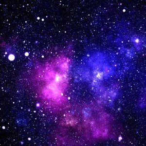 Meet your Posher, Jackson